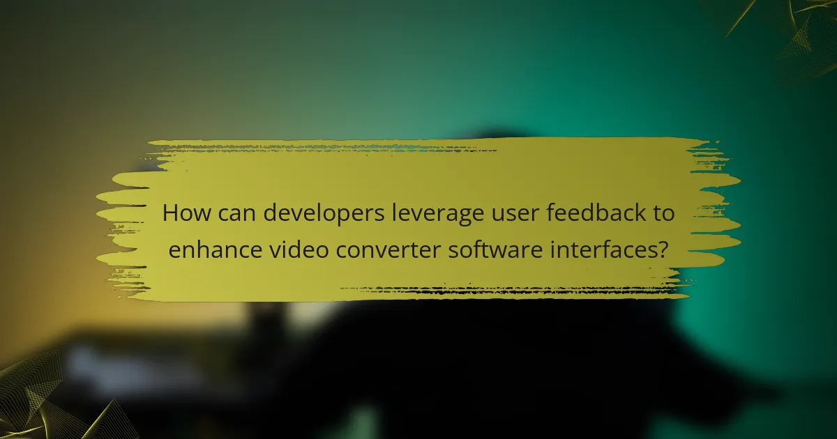 How can developers leverage user feedback to enhance video converter software interfaces?