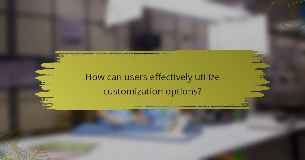 How can users effectively utilize customization options?
