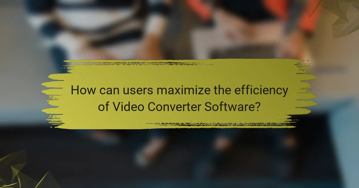 How can users maximize the efficiency of Video Converter Software?