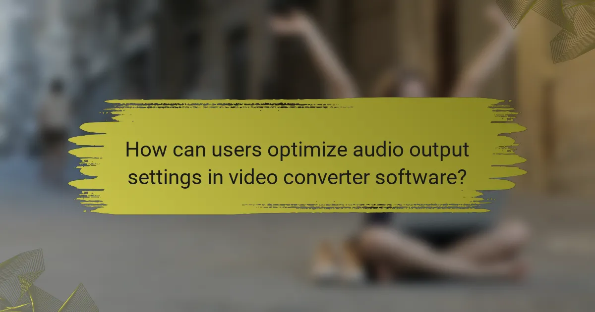 How can users optimize audio output settings in video converter software?