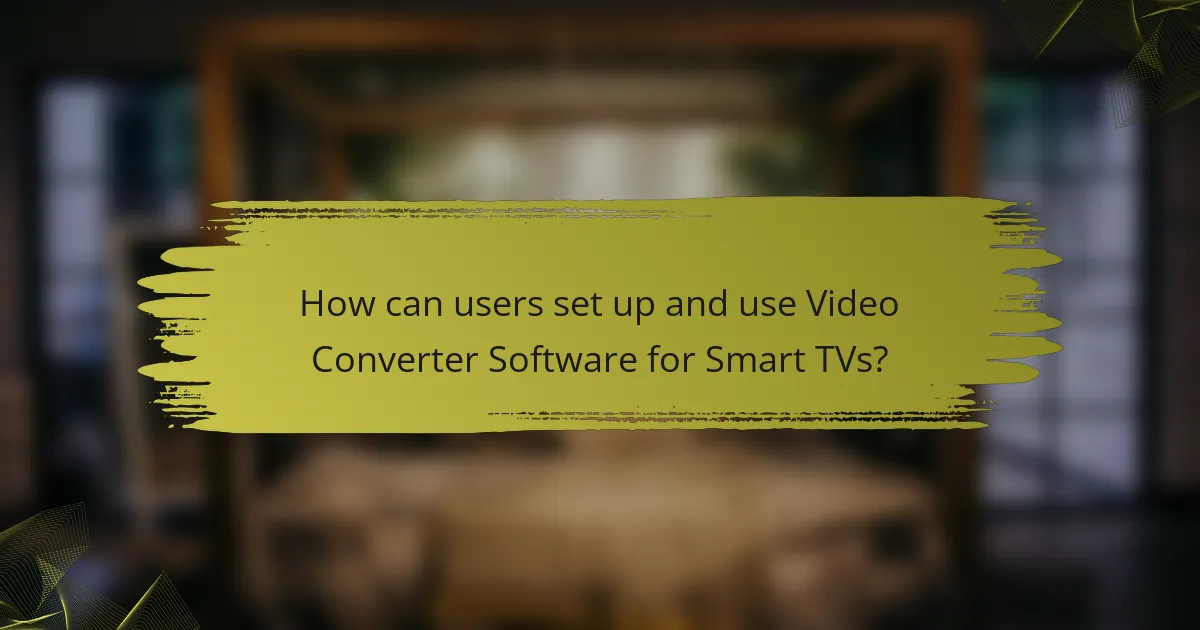 How can users set up and use Video Converter Software for Smart TVs?