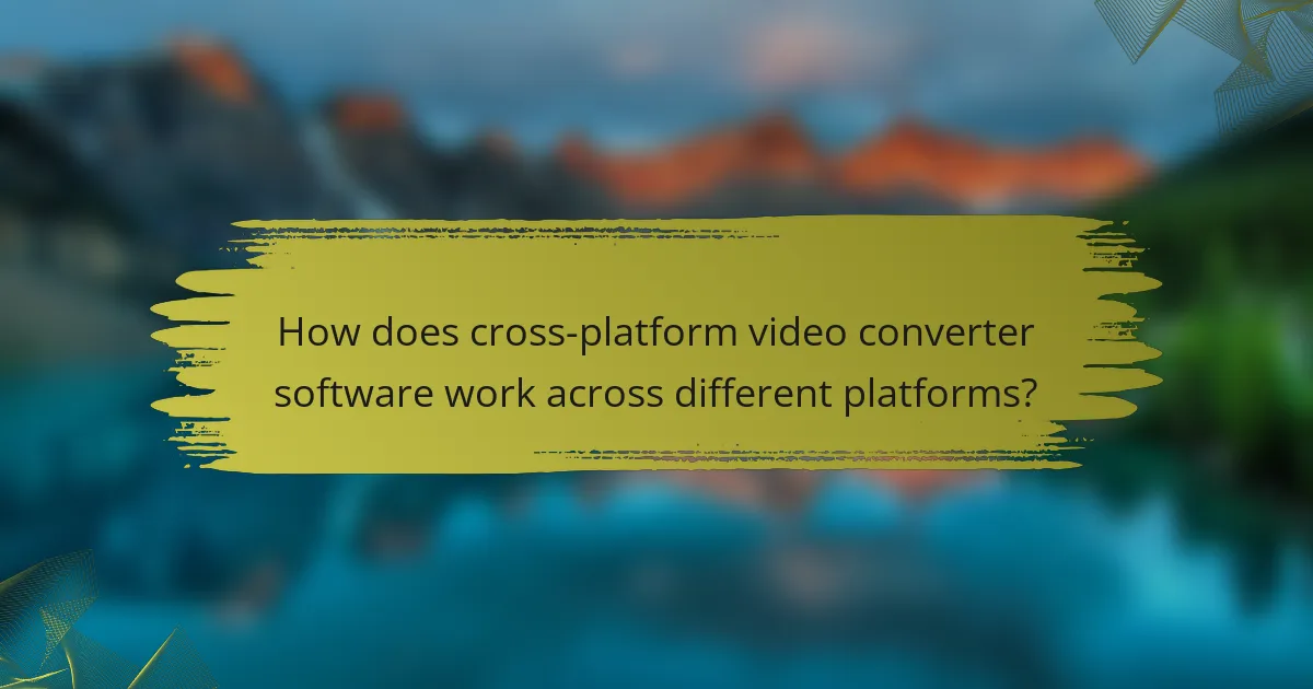 How does cross-platform video converter software work across different platforms?