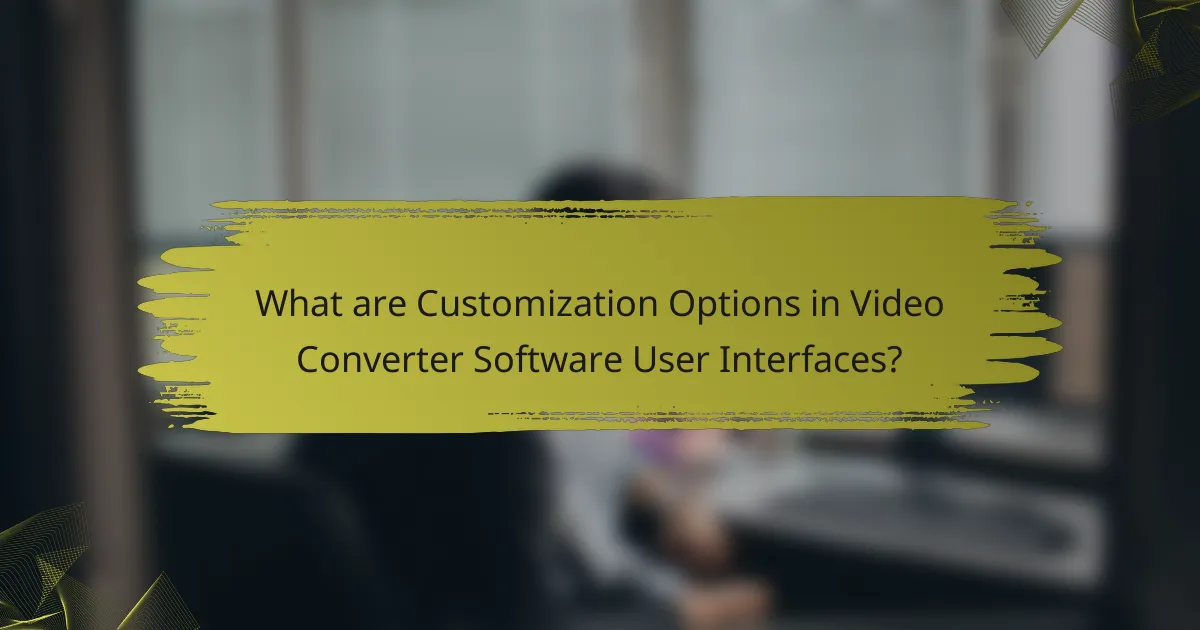 What are Customization Options in Video Converter Software User Interfaces?
