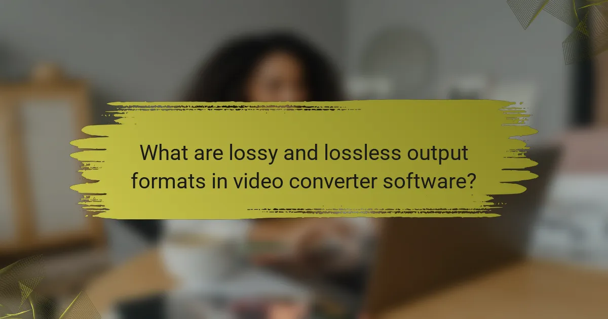 What are lossy and lossless output formats in video converter software?