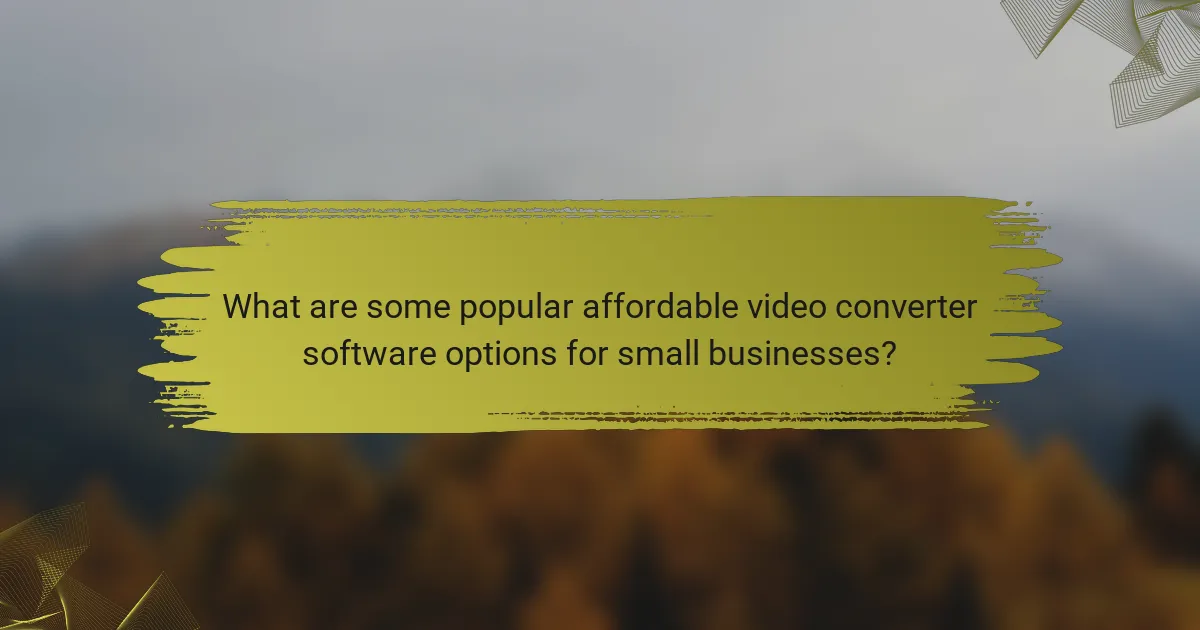 What are some popular affordable video converter software options for small businesses?