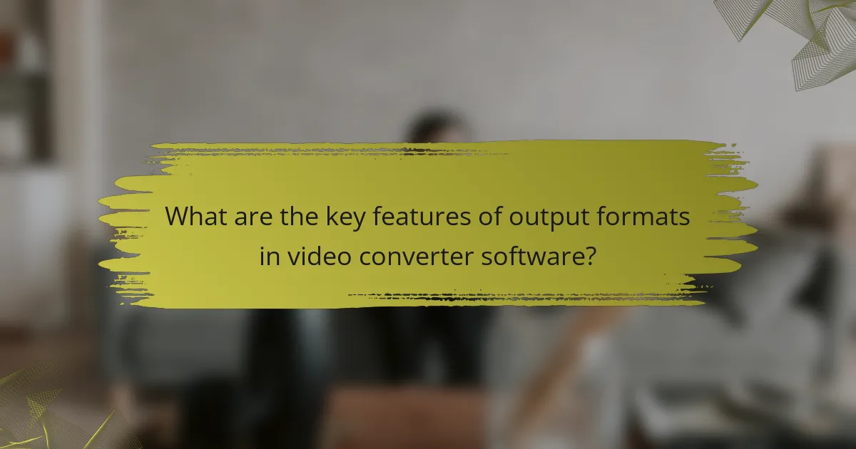 What are the key features of output formats in video converter software?