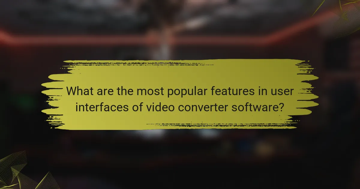 What are the most popular features in user interfaces of video converter software?