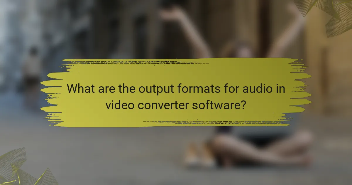 What are the output formats for audio in video converter software?