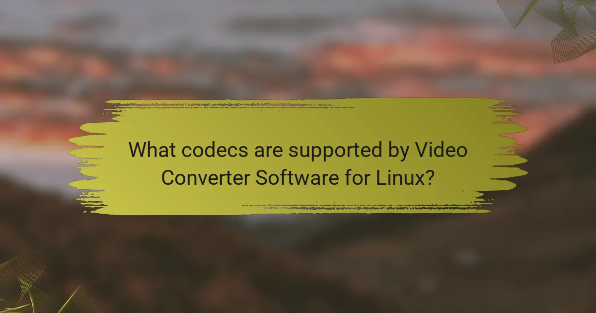 What codecs are supported by Video Converter Software for Linux?