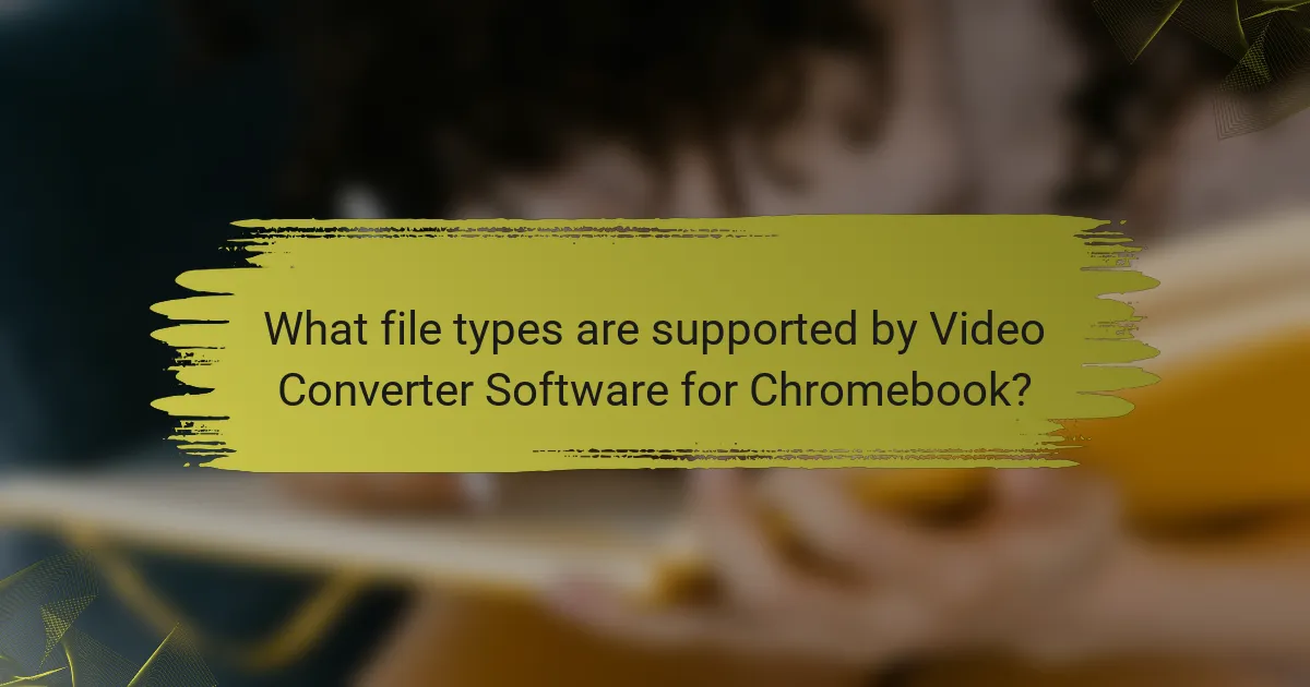 What file types are supported by Video Converter Software for Chromebook?