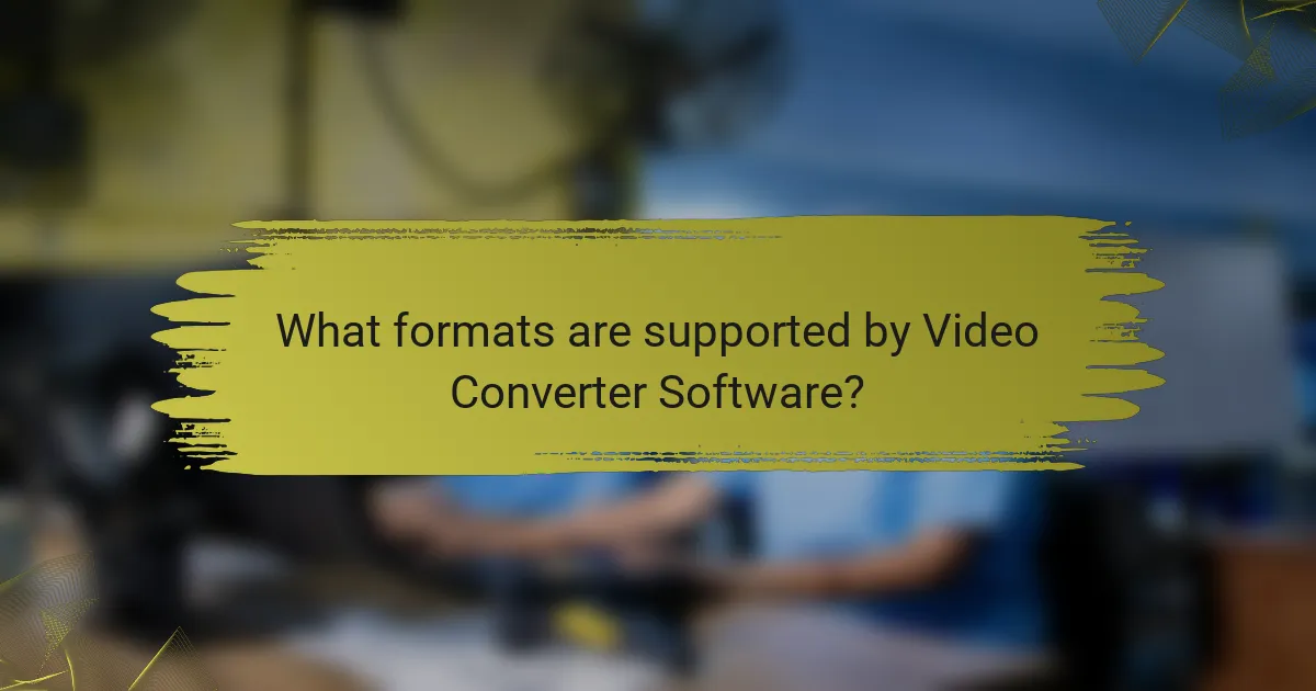What formats are supported by Video Converter Software?