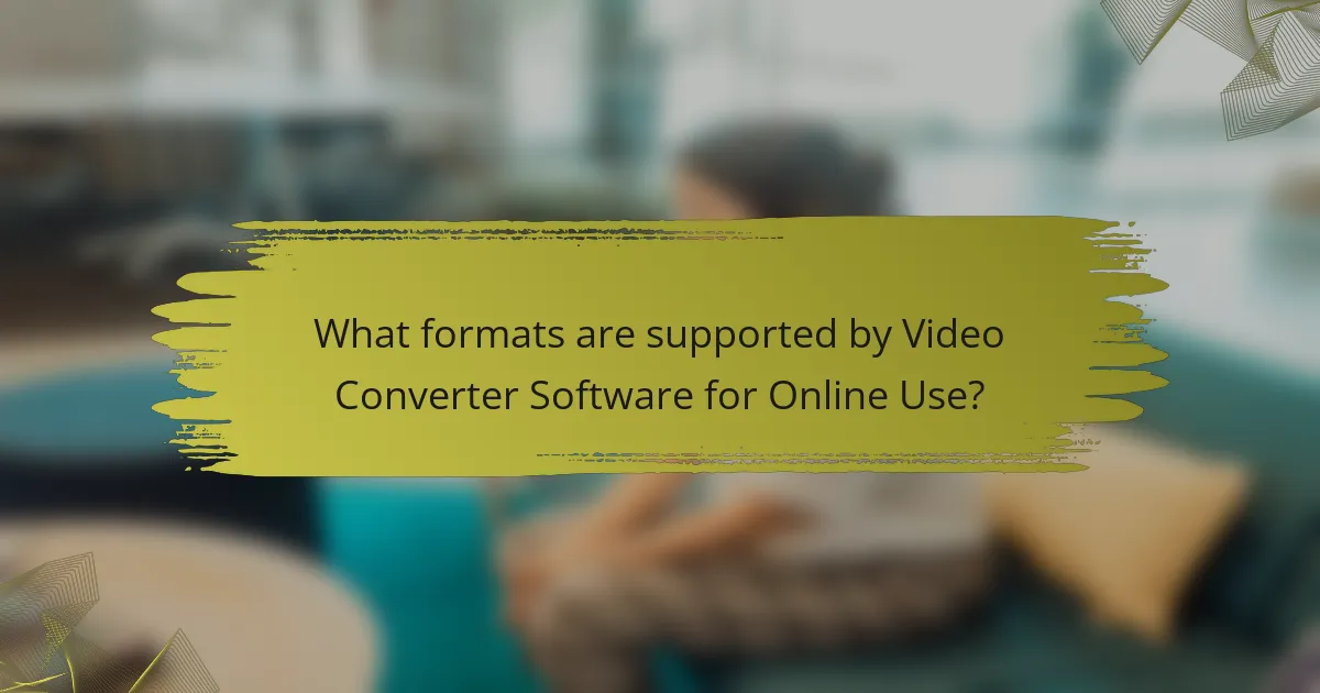 What formats are supported by Video Converter Software for Online Use?