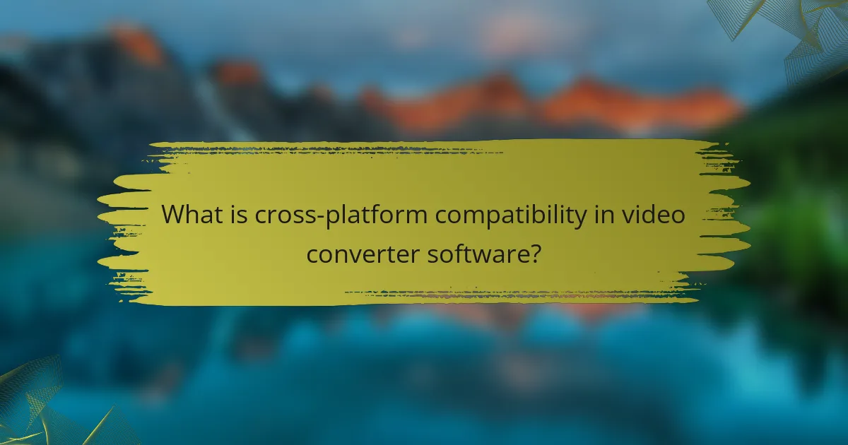 What is cross-platform compatibility in video converter software?