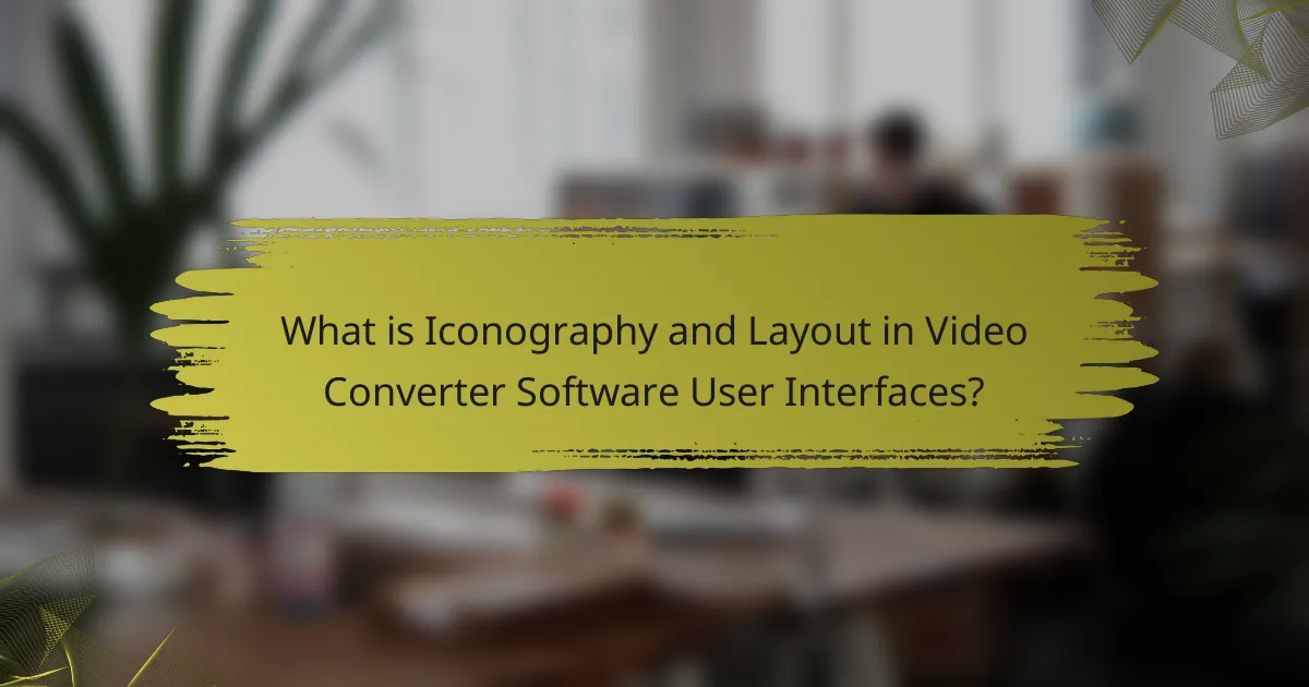 What is Iconography and Layout in Video Converter Software User Interfaces?