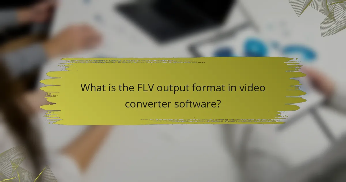 What is the FLV output format in video converter software?