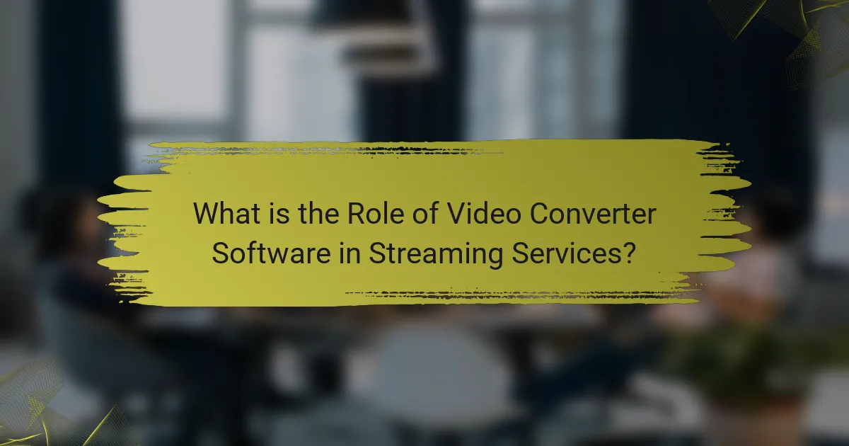 What is the Role of Video Converter Software in Streaming Services?