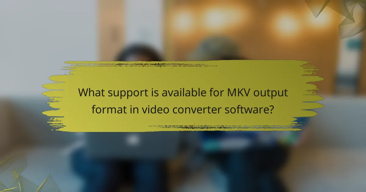 What support is available for MKV output format in video converter software?