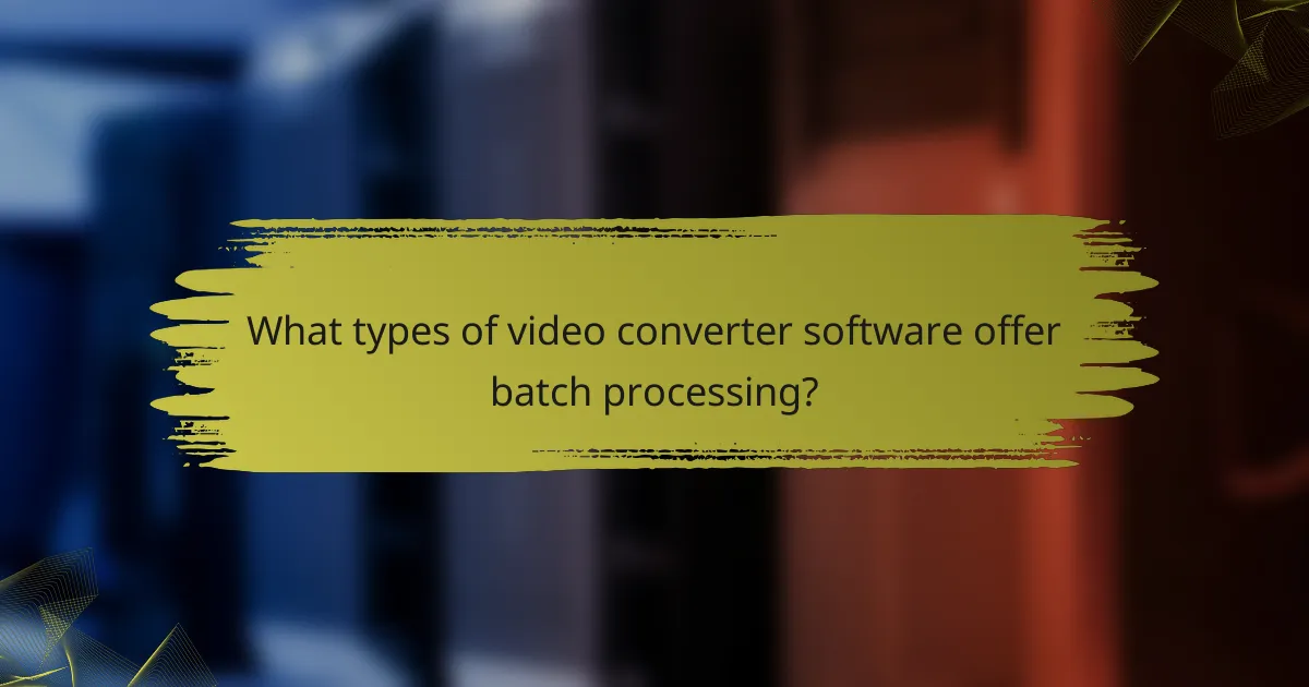 What types of video converter software offer batch processing?
